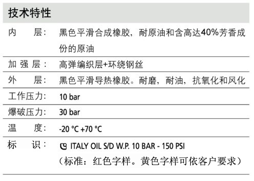 CARBURS SP10L P2N 油管2.jpg